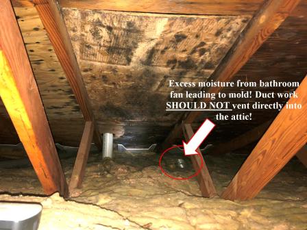 Bathroom Vent Exhausting Into Attic Causing Mold and Roof Problems 