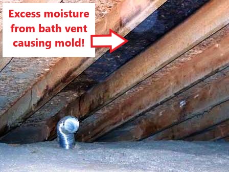 Bath Vent Causing Mold On Roof Plywood Inside Attic 