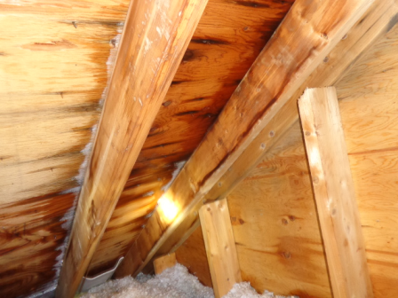 View From Inside The Attic Of Roof Plywood Water Stained From Leak 